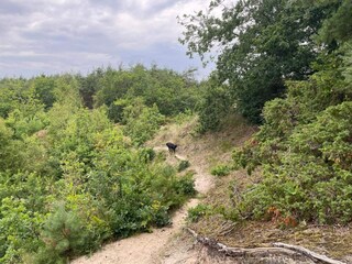 Vakantiehuis Pandrup  31