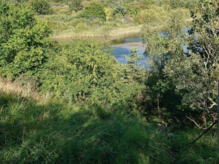 Ferienhaus Pandrup  32