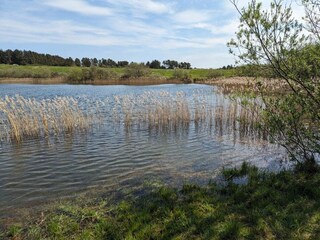 Vakantiehuis Pandrup  26