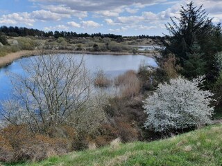 Maison de vacances Pandrup  21