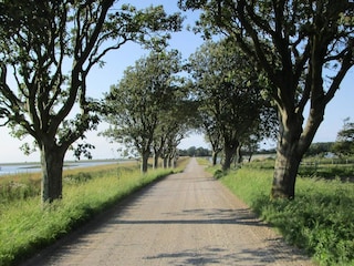 Vakantiehuis Bogense  35