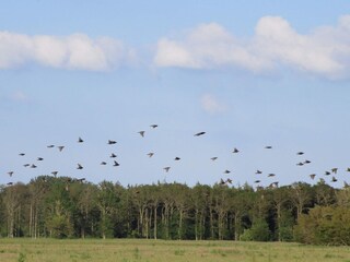 Maison de vacances Bogense  24