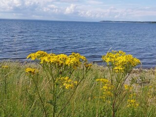 Ferienhaus Bogense  27