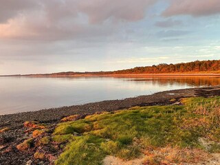 Ferienhaus Hvalpsund  38