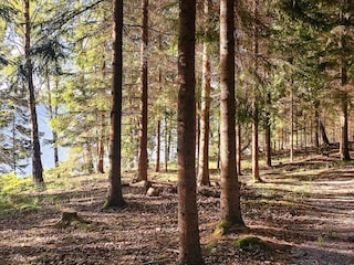 Ferienhaus Laxne  27