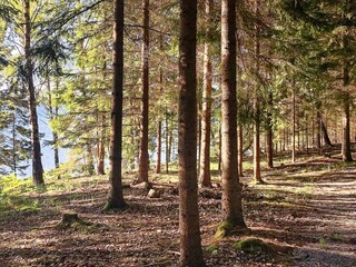 Vakantiehuis Laxne  25