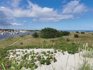 Holiday house Hou  12