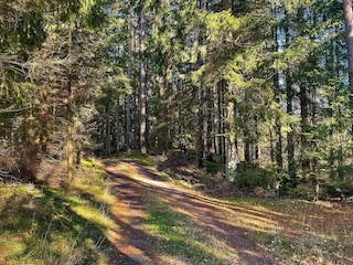 Ferienhaus Tostared  15