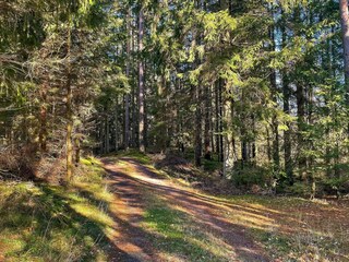 Holiday house Tostared  26