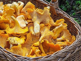 Vakantiehuis Tostared  26