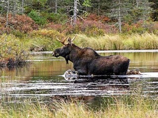 Ferienhaus Tostared  14