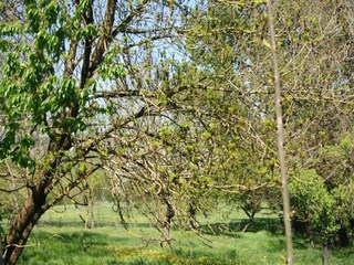 Holiday house Haselbourg Environment 32