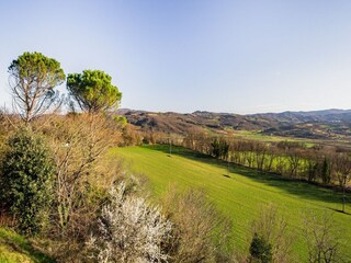 Ferienhaus Monterchi Außenaufnahme 7