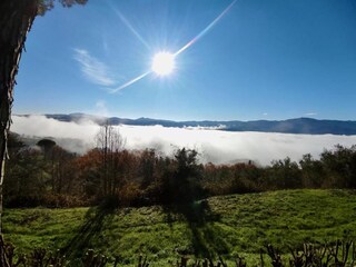 Vakantiehuis Monterchi Omgeving 29
