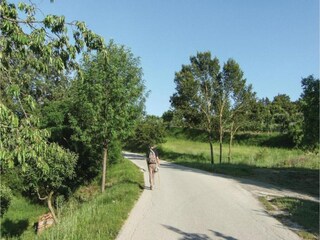 Casa de vacaciones Monterchi Entorno 35