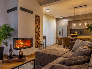 Villa Crikvenica Caratteristiche 19