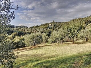 Vakantiehuis Santa Luce Buitenaudio-opname 18