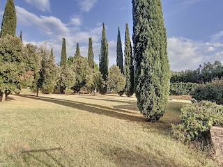 Vakantiehuis Santa Luce Buitenaudio-opname 19