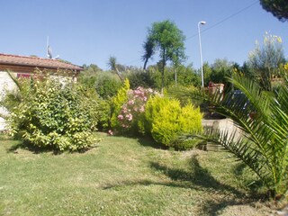 Vakantiehuis Santa Luce Omgeving 35