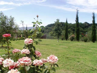 Vakantiehuis Santa Luce Buitenaudio-opname 7