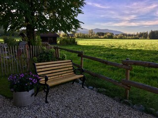 resting bench