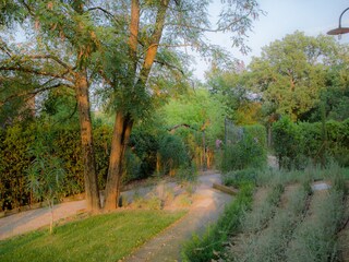 Villa Montespertoli Buitenaudio-opname 10