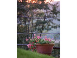 Villa Montespertoli Buitenaudio-opname 12