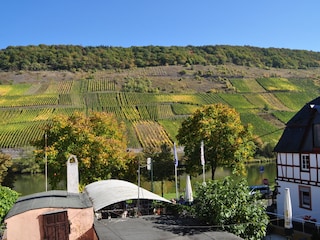 Aussicht auf Mosel und Weinberge