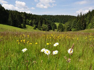 Casa per le vacanze Schleusegrund Ambiente 14