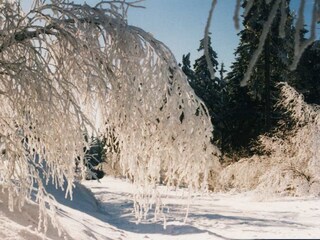 Casa per le vacanze Schleusegrund Ambiente 20