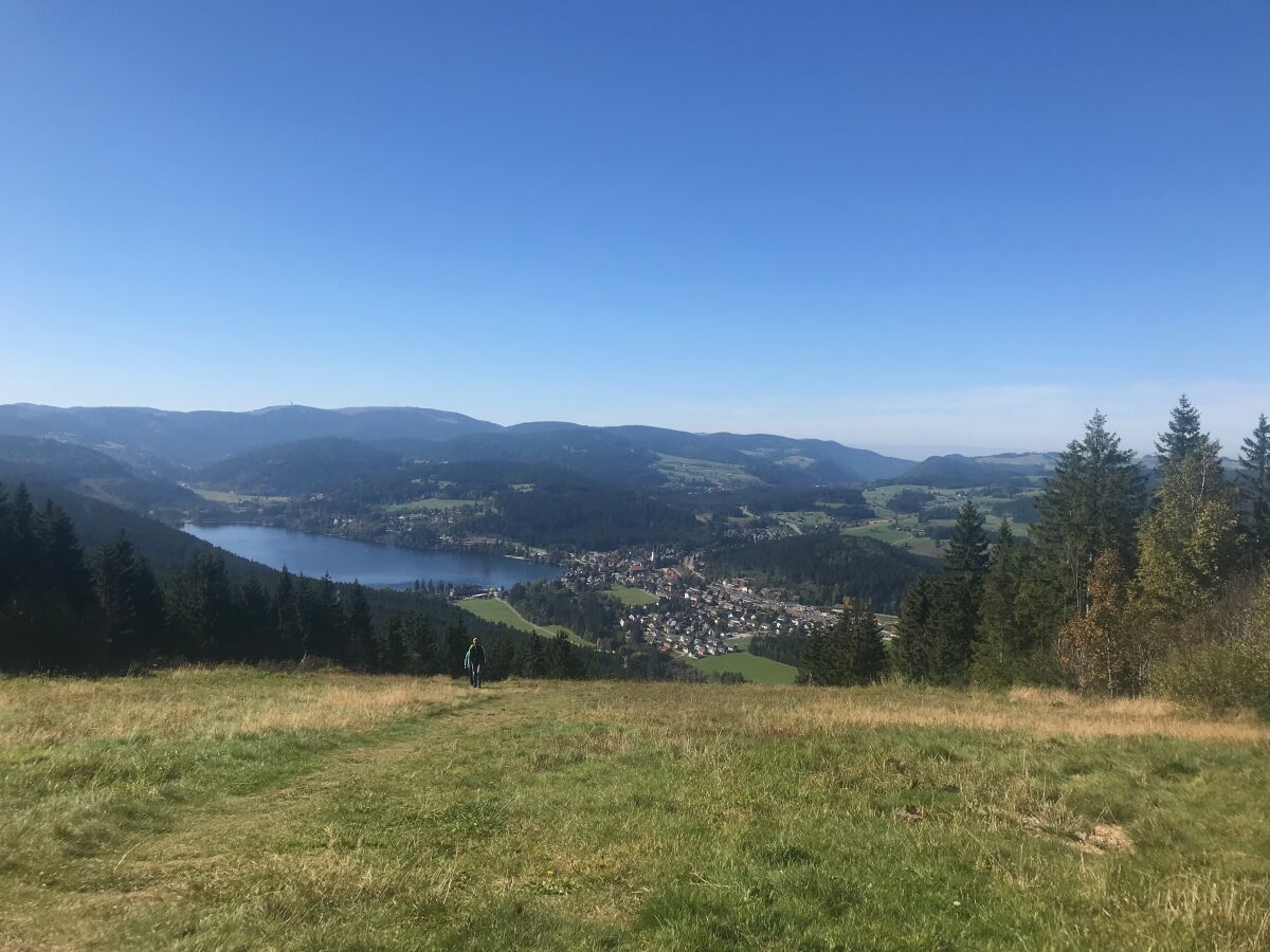 Titisee vom Hochfirst