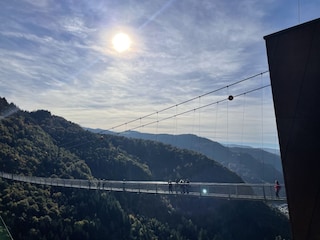 Blackforest Line Todtnau