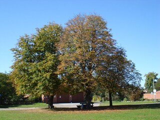 Ferienhof Jameln Außenaufnahme 4