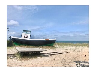 Ferienwohnung Zingst Umgebung 31