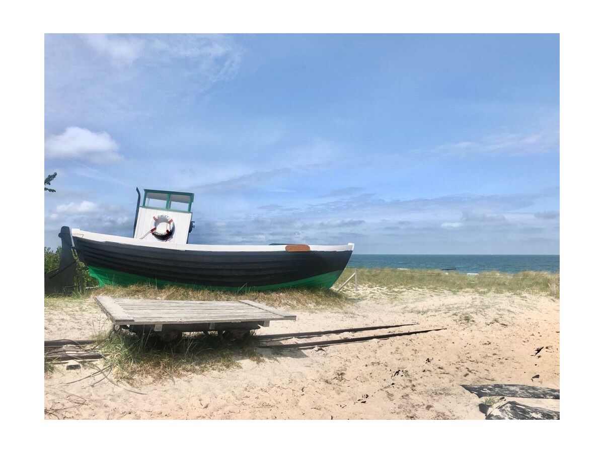 Ferienwohnung Zingst Umgebung 32