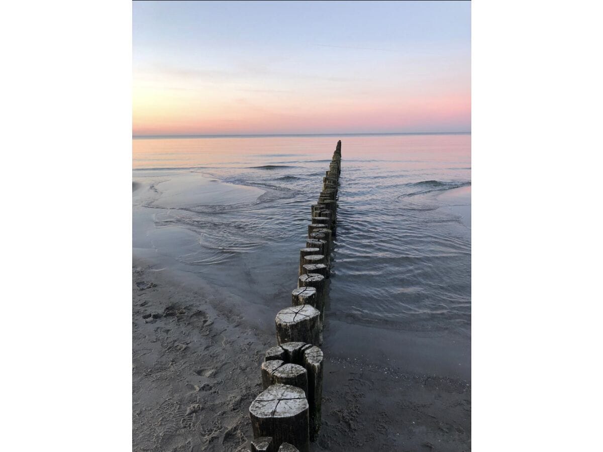 Ferienwohnung Zingst Umgebung 34