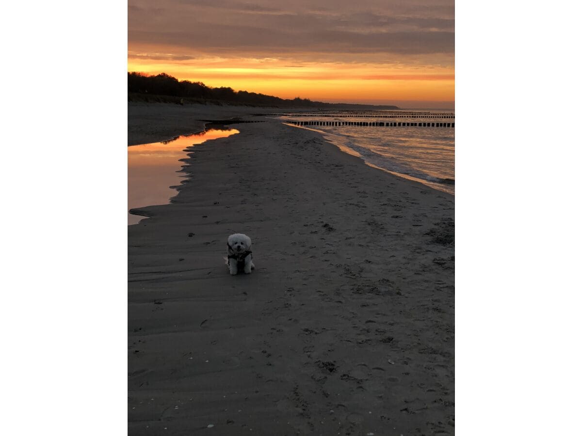 Abendstimmung im Herbst am Strand