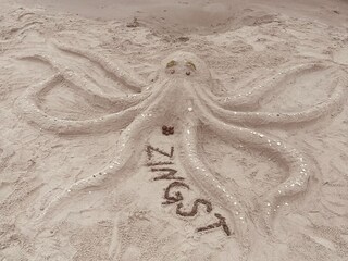 Ferienwohnung Zingst Umgebung 39