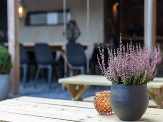 Casa per le vacanze Ternaard  40