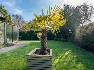 Ferienhaus Renesse Außenaufnahme 7