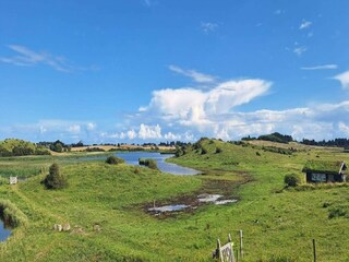 Vakantiehuis Hou Buitenaudio-opname 17