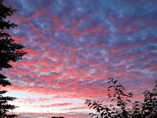 Casa per le vacanze Arrild  25