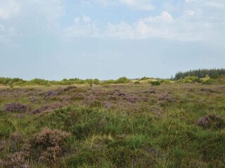 Casa per le vacanze Arrild  6
