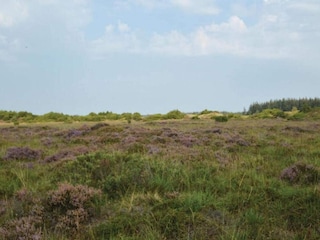 Maison de vacances Arrild  6