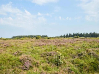 Maison de vacances Arrild  7