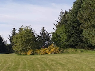 Maison de vacances Arrild  8