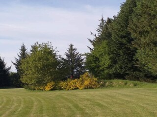 Vakantiehuis Arrild  8