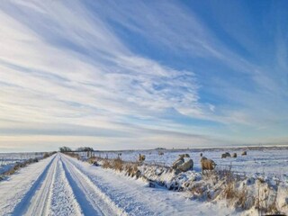 Maison de vacances Arrild  33