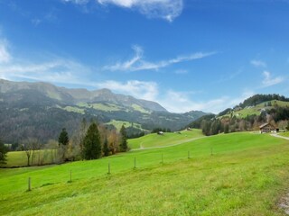 Apartment Hittisau Außenaufnahme 7