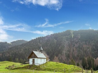 Appartamento Hittisau Ambiente 30